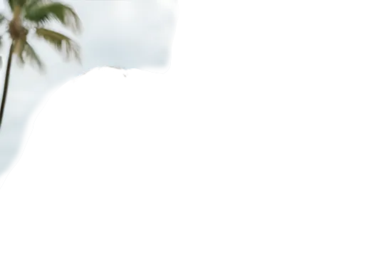 Example Revised Photo